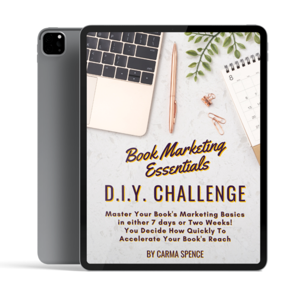 Book Marketing Essentials Challenges 3D Reader 2